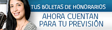 cotizacion honorarios