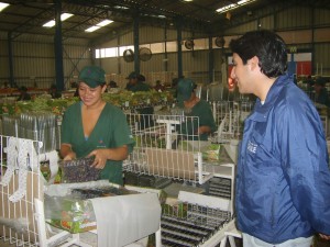 Patricio Urquieta, Seremi del Trabajo y Previsión Social.