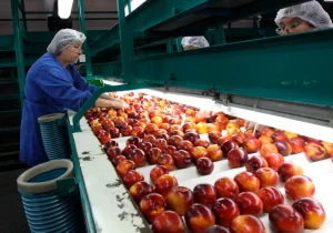 ley-de-40-horas ¿Cómo se aplica la reducción de la jornada laboral